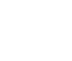 Barrett Steel